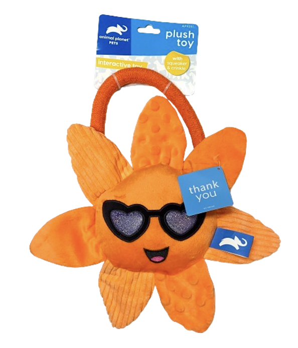 Plush Toy w/ Squeaker and Crinkle