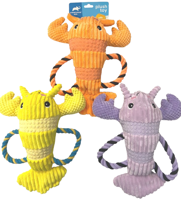 Plush Toy w/ Squeaker