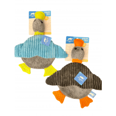 Flat Squeaker Duck