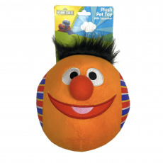 Plush Toy w/ Large Squeaker